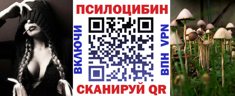 Псилоцибиновые грибы GOLDEN TEACHER  Сковородино 